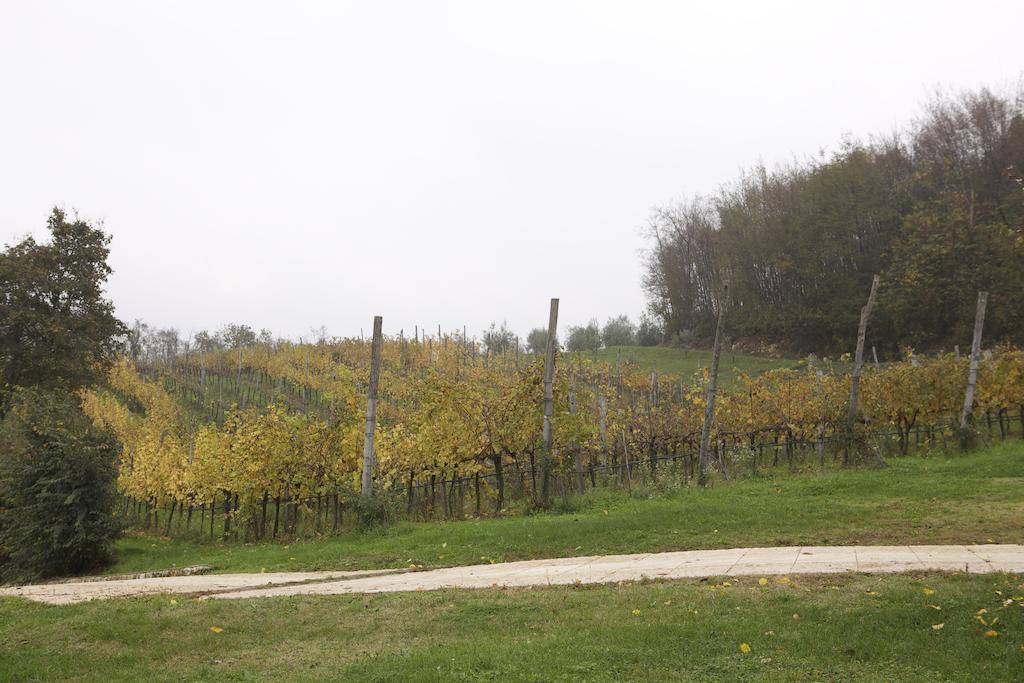 Agriturismo Marani Arcugnano Luaran gambar
